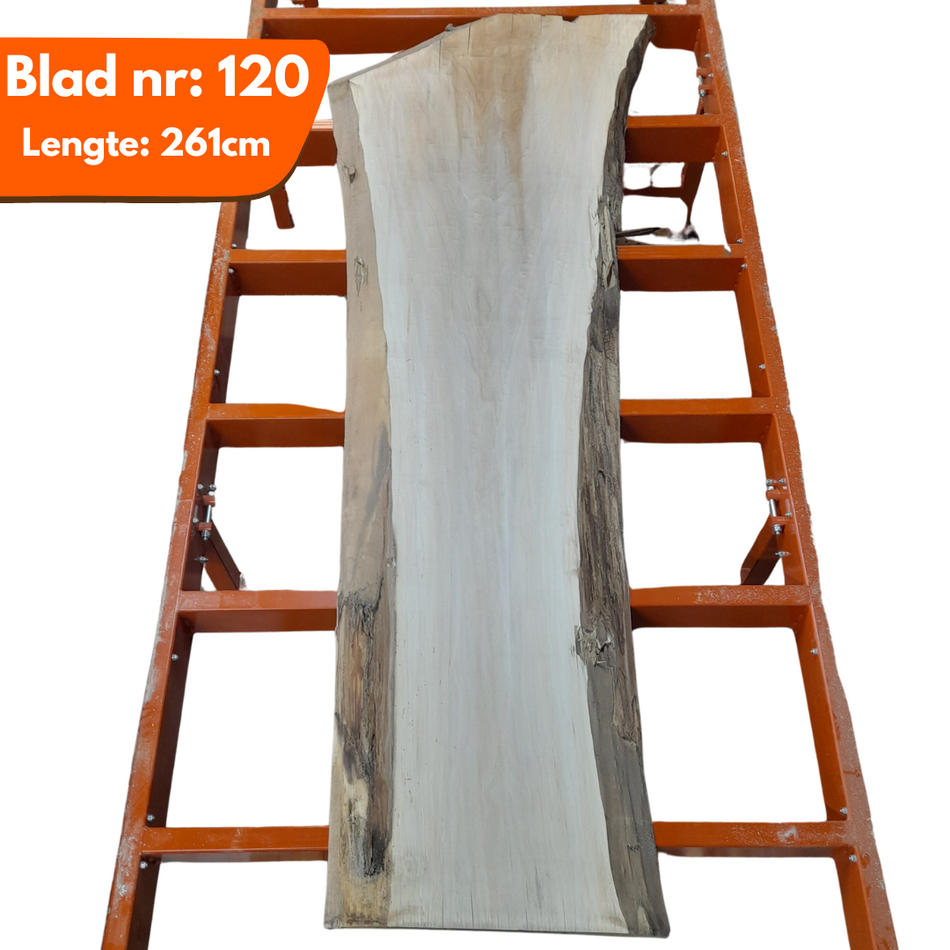 Tafelblad boomstam 120 - Populier 261x67-69-92x7cm