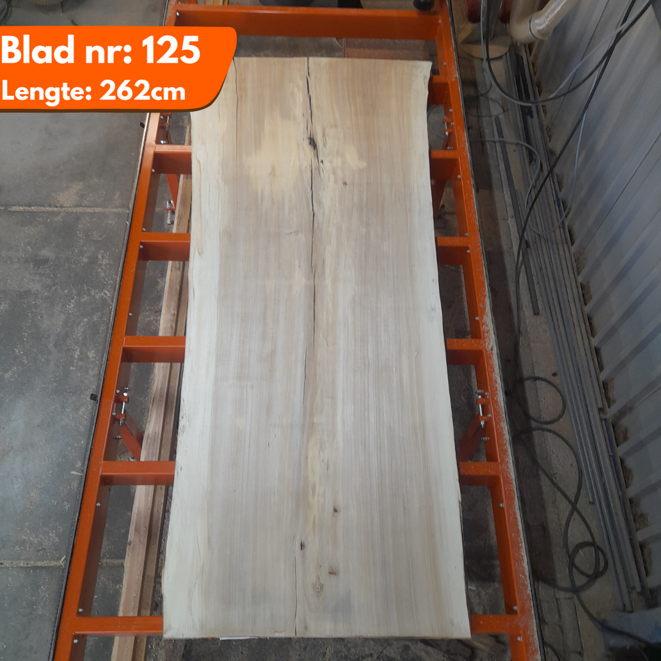 Boomstamblad 125 - Populier 262x115-102-95x6-7cm