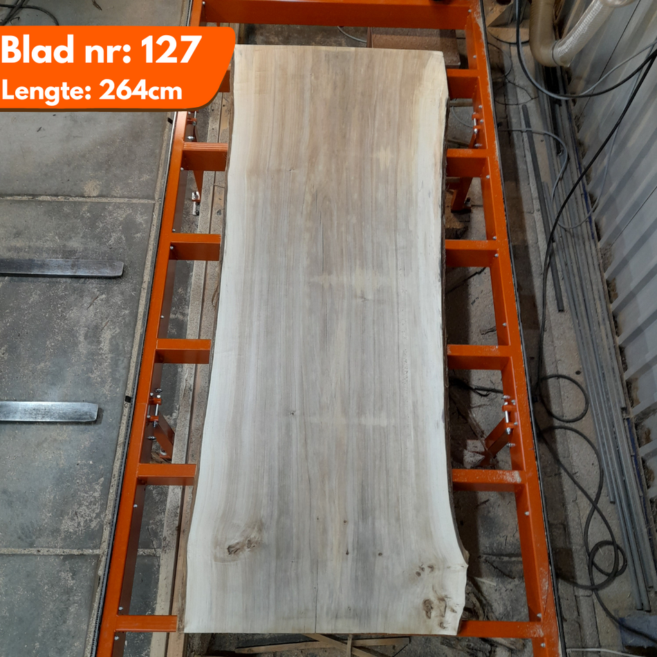 Boomstamblad 127 - Populier 264x105-95-95x7cm