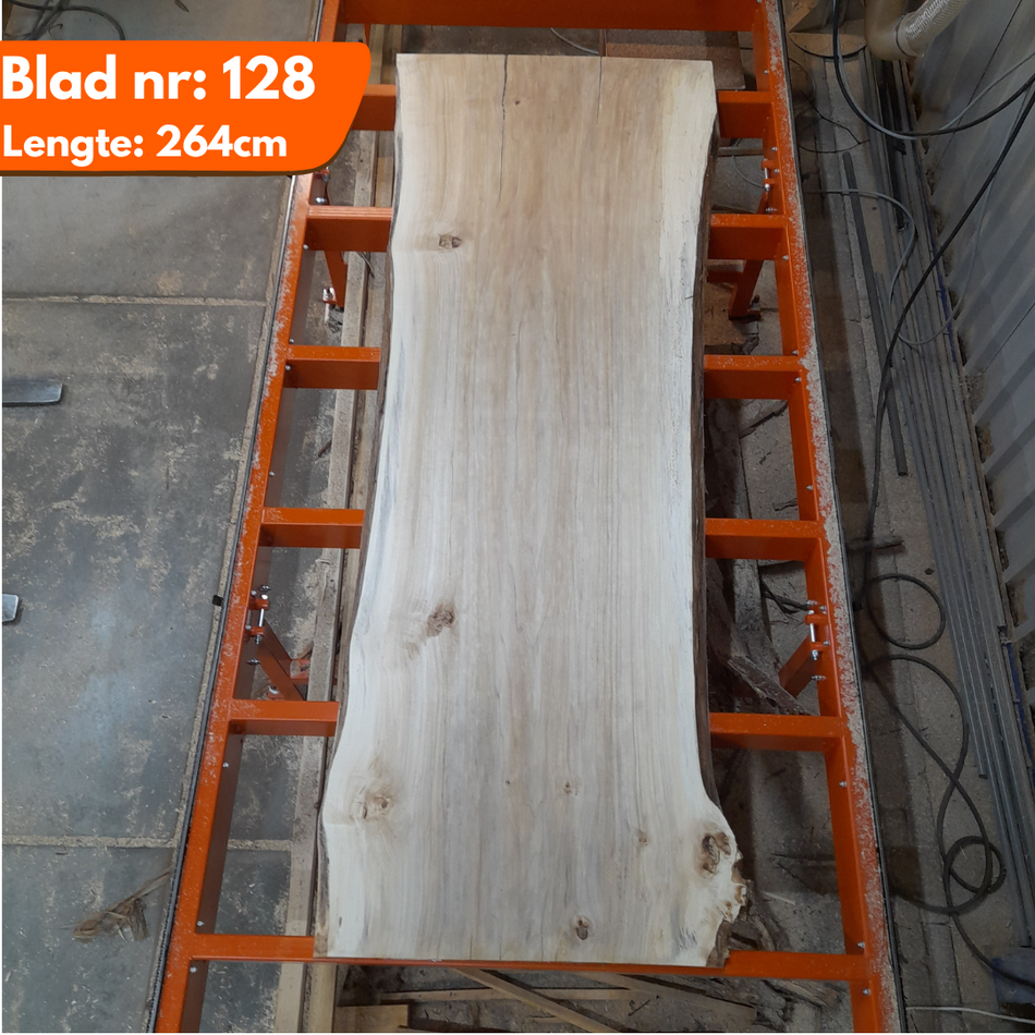 Boomstamblad 128 - Populier 264x100-86-84x6-7cm