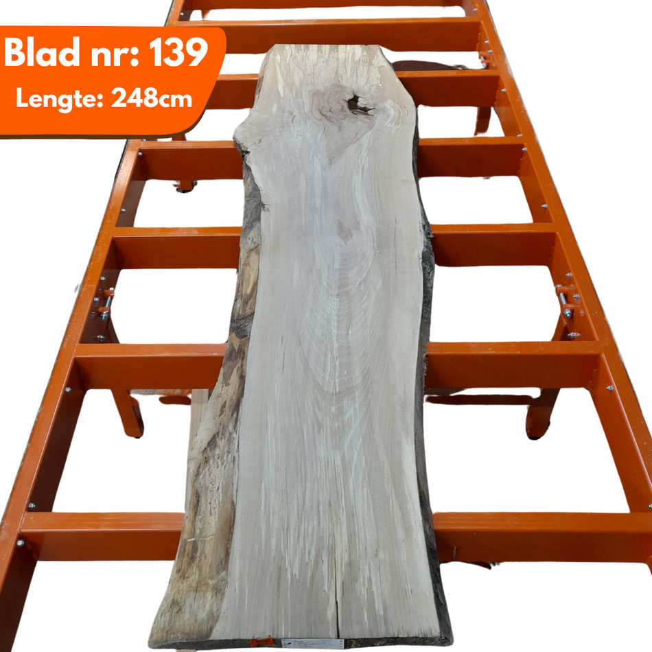 Boomstamblad 139 - Beuken 248x64-60-61x5.5cm