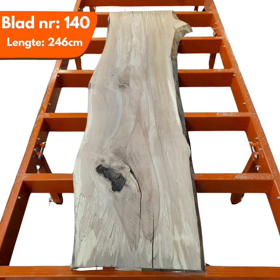 Boomstamblad 140 - Beuken 246x70-70-60x5cm