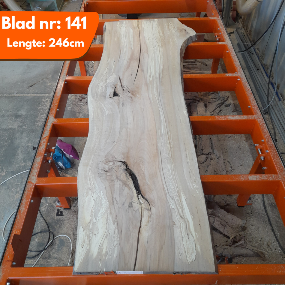 Boomstamblad 141 - Beuken 249x79-75-67x4.5cm