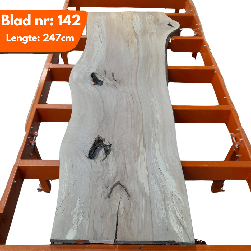 Boomstamblad 142 - Beuken 247x84-80-71x4.8cm