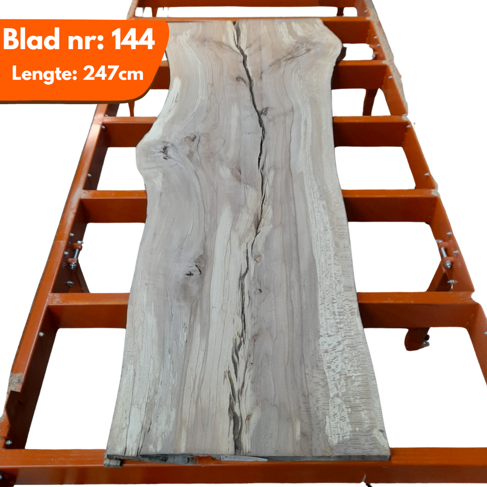 Boomstamblad 144 - Beuken 247x89-85-74x4.5cm
