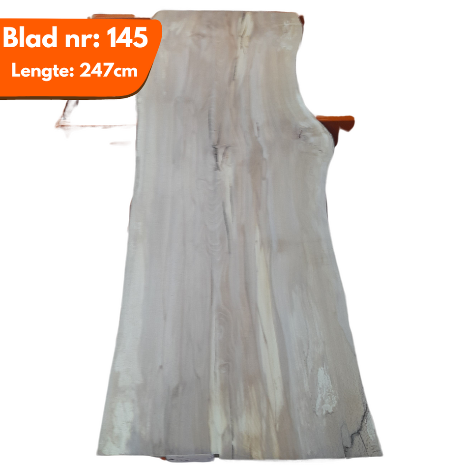 Boomstamblad 145 - Beuken 247x84-84-73x4.5cm