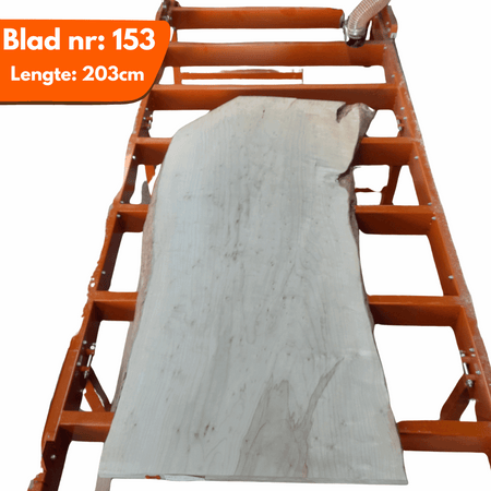 Boomstamblad 153 - Suiker Esdoorn 203x80-92-94x6cm